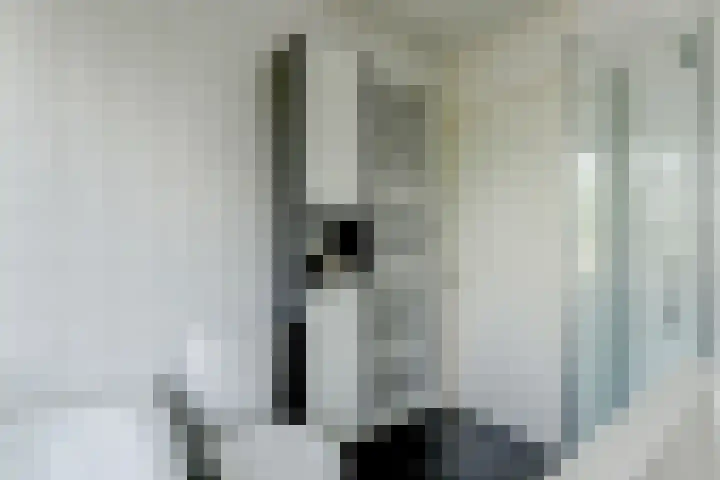 Brielsemeer 20 Purmerend thumbnail 25