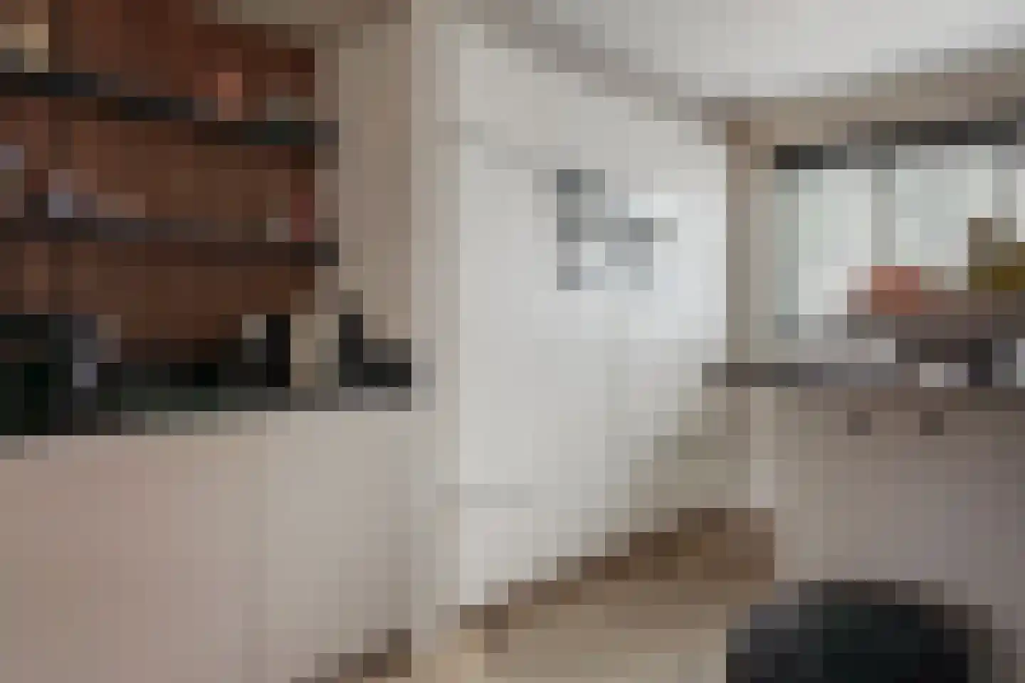 Brielsemeer 3 Purmerend thumbnail 13
