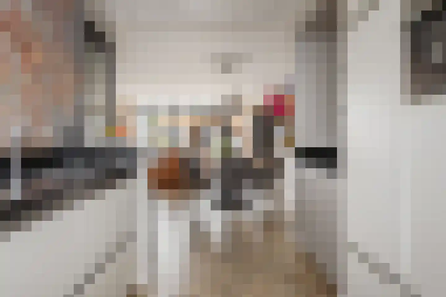 Brielsemeer 3 Purmerend thumbnail 16