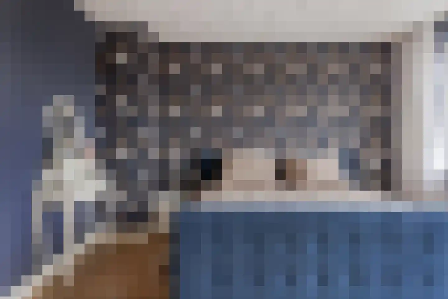 Brielsemeer 3 Purmerend thumbnail 18