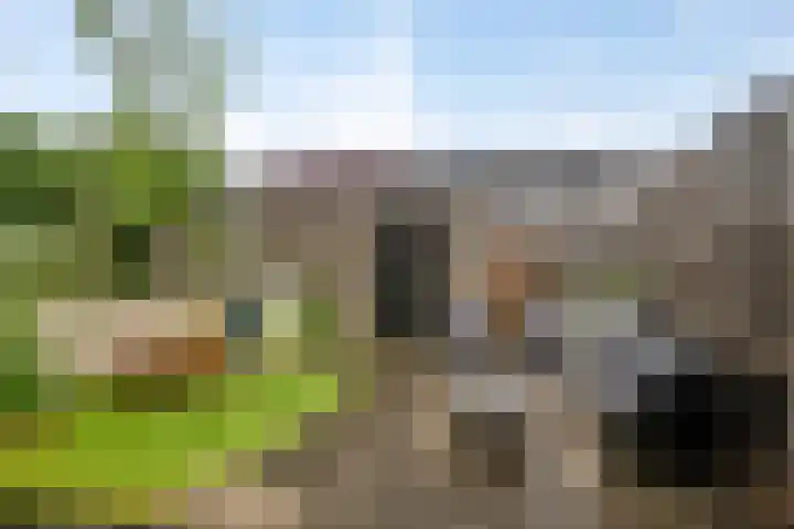 Brielsemeer 54 Barendrecht thumbnail 36
