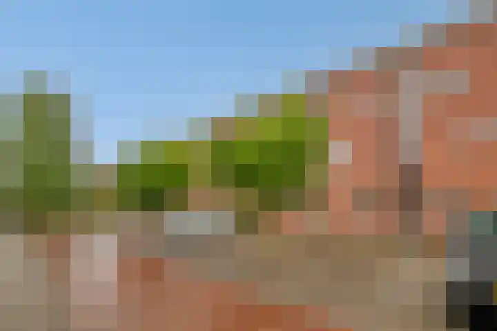 Brielsemeer 54 Barendrecht thumbnail 45