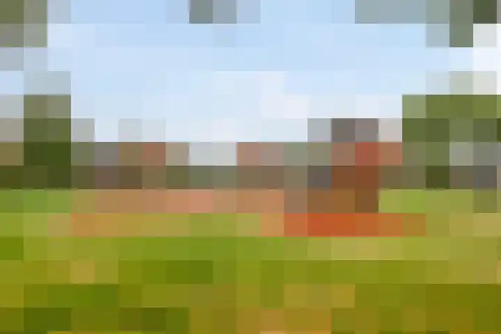 Brielsemeer 54 Barendrecht thumbnail 47
