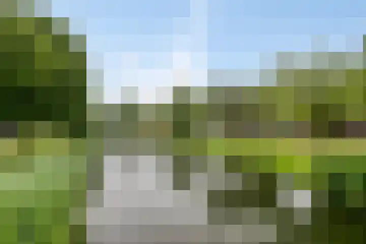 Brielsemeer 54 Barendrecht thumbnail 50