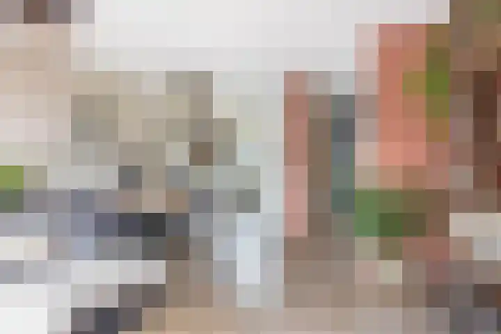 Brielsemeer 83 Zoetermeer thumbnail 10
