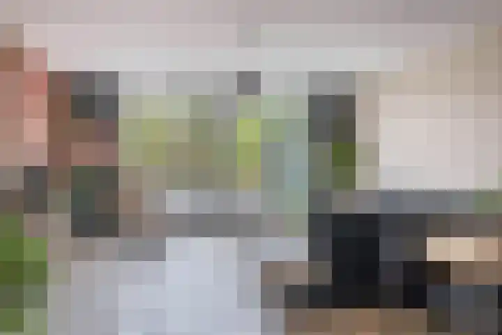 Brielsemeer 83 Zoetermeer thumbnail 12