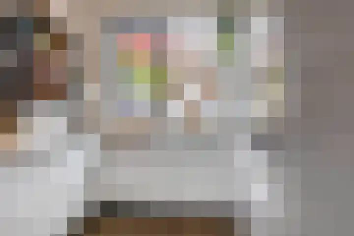 Brielsemeer 83 Zoetermeer thumbnail 14