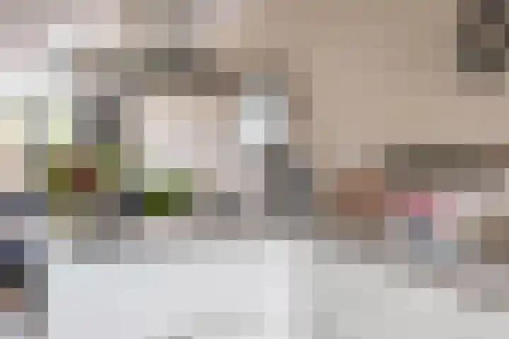Brielsemeer 83 Zoetermeer thumbnail 16