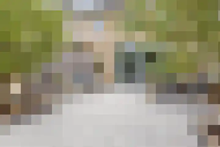 Brielsemeer 83 Zoetermeer thumbnail 21