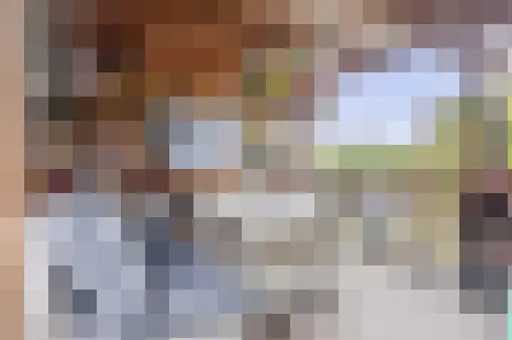 Brielsemeer 83 Zoetermeer thumbnail 22