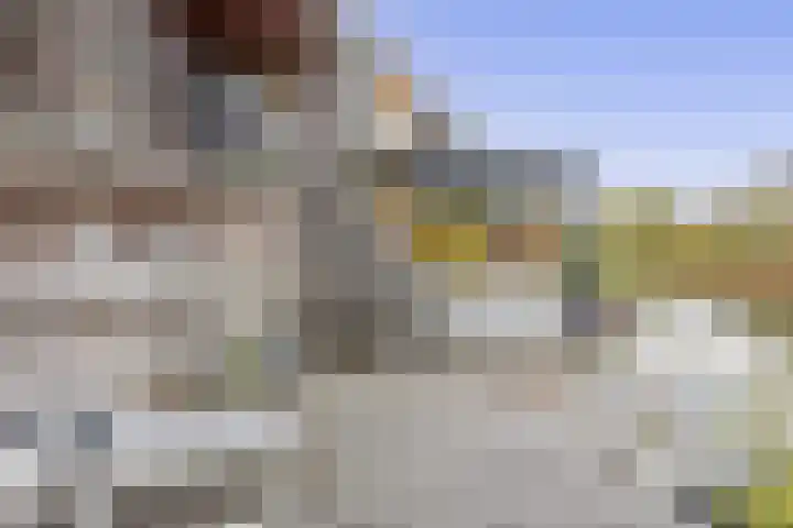 Brielsemeer 83 Zoetermeer thumbnail 24