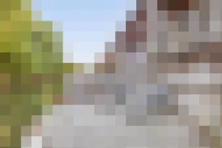 Brielsemeer 83 Zoetermeer thumbnail 25