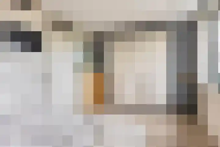 Brielsemeer 83 Zoetermeer thumbnail 28