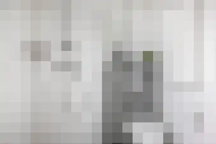 Brielsemeer 83 Zoetermeer thumbnail 32