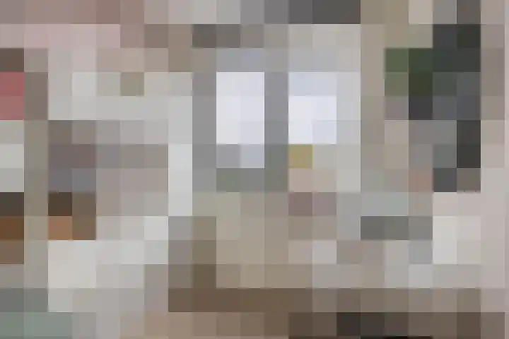 Brielsemeer 83 Zoetermeer thumbnail 33