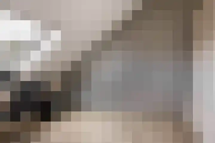 Brielsemeer 83 Zoetermeer thumbnail 35