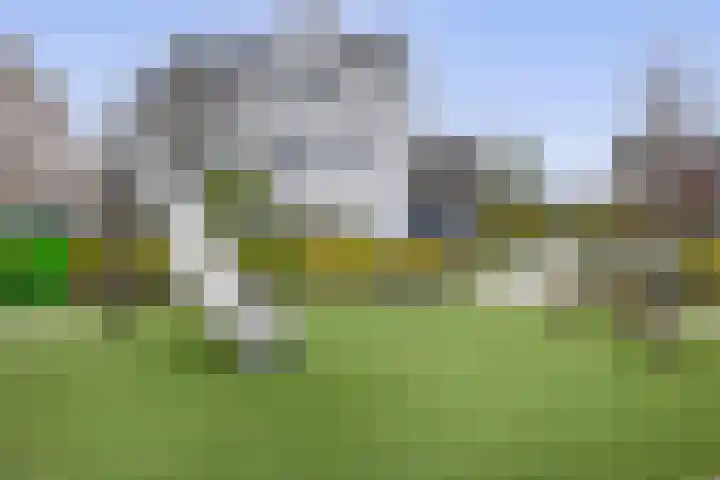 Brielsemeer 83 Zoetermeer thumbnail 37