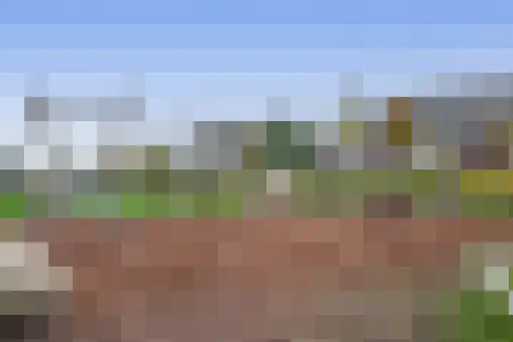 Brielsemeer 83 Zoetermeer thumbnail 38