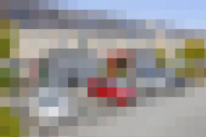 Brielsemeer 83 Zoetermeer thumbnail 40
