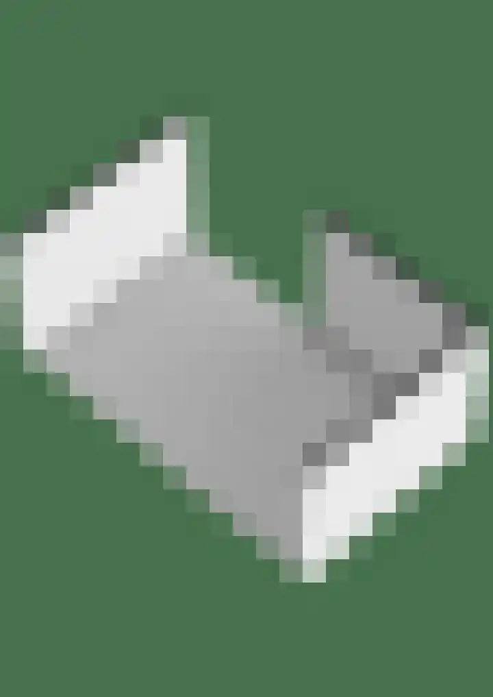 Brielsemeer 83 Zoetermeer thumbnail 52