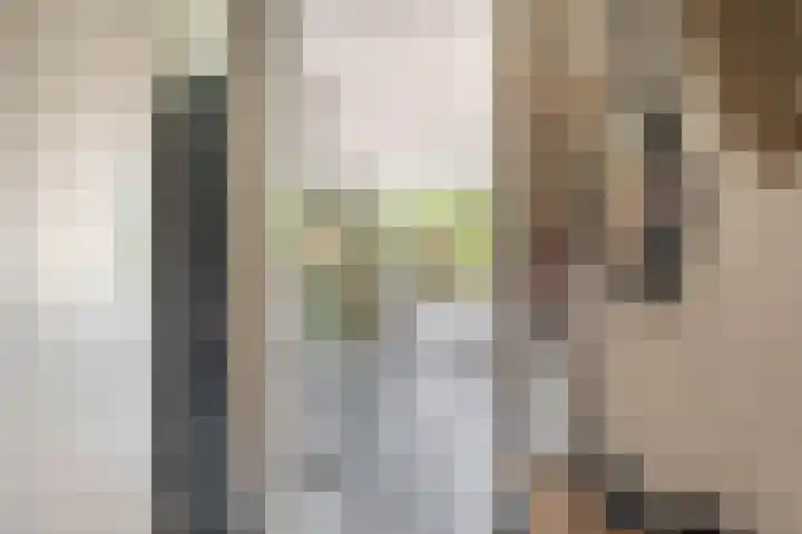 Brielsemeer 83 Zoetermeer thumbnail 8