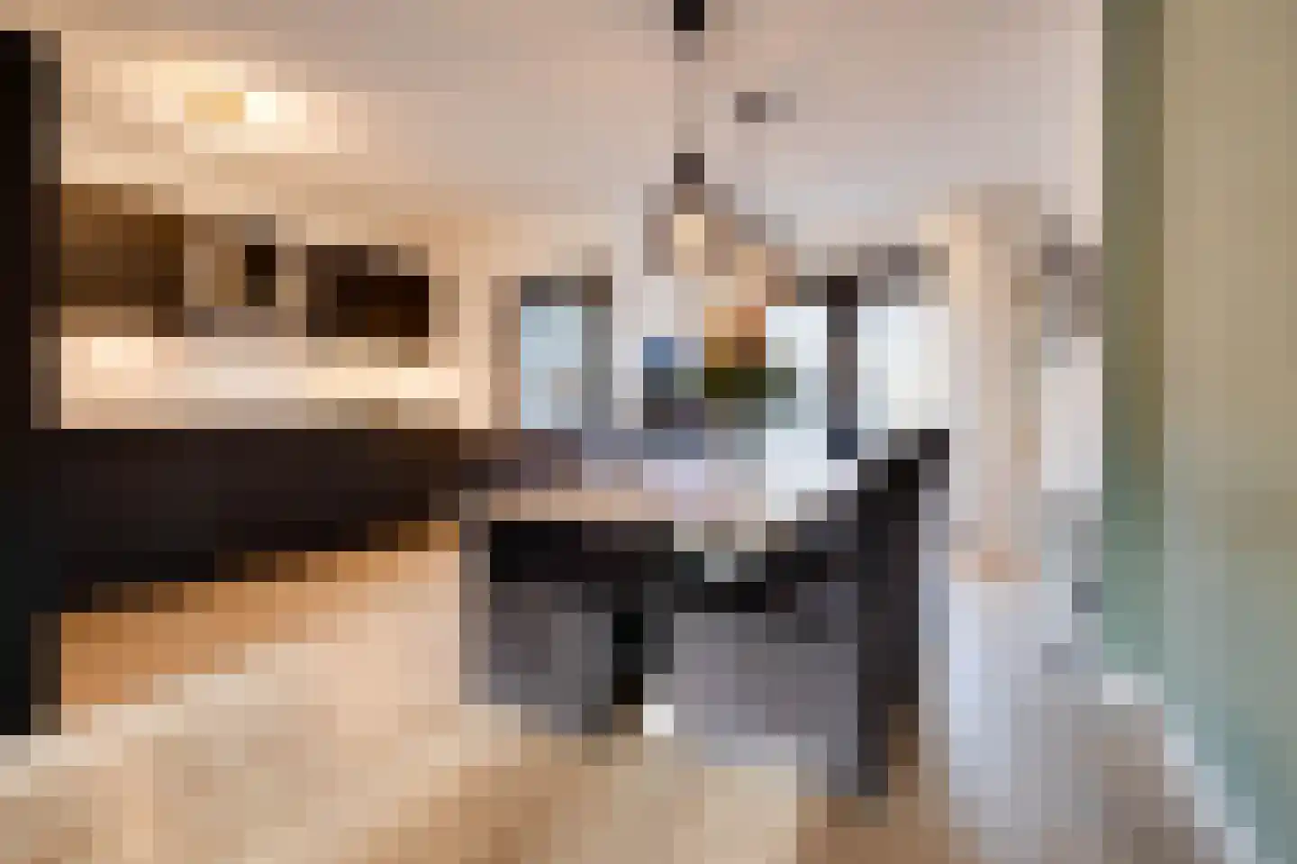 Brielsestraat 68 Stellendam thumbnail 7