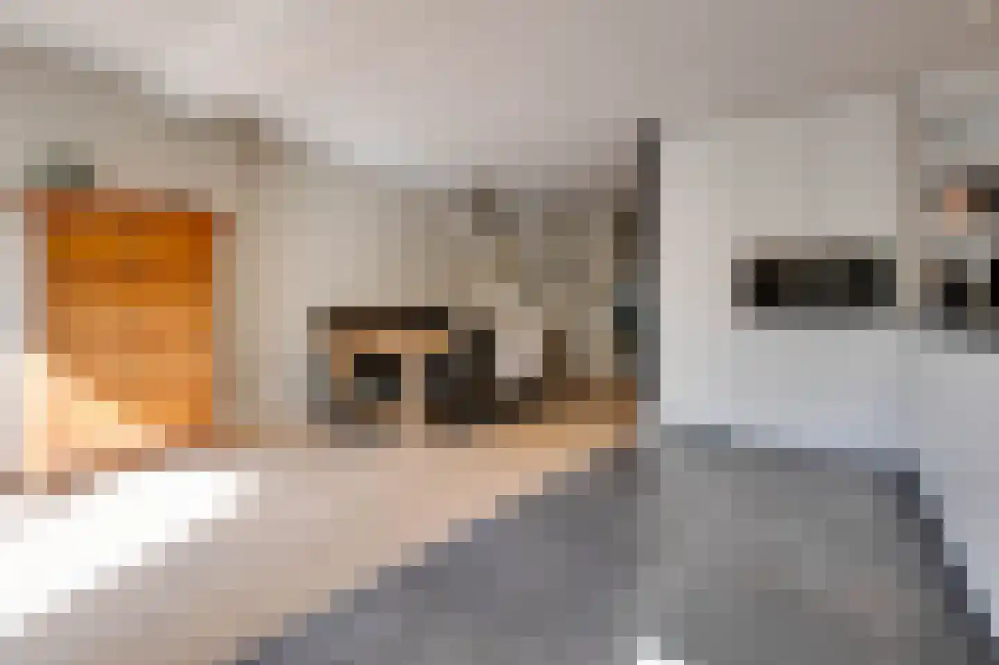 Brielsestraat 81 Stellendam thumbnail 15