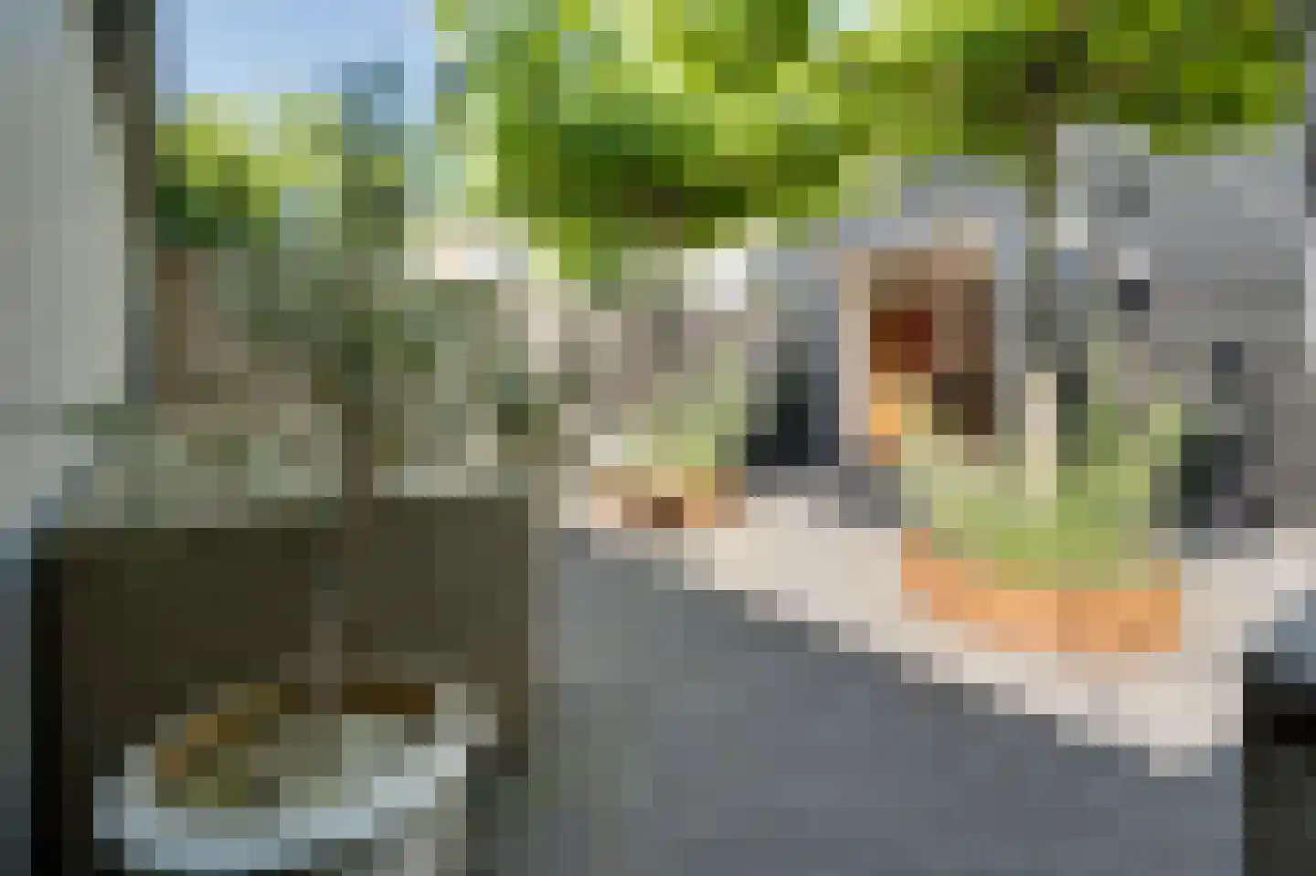 Brielsestraat 81 Stellendam thumbnail 38