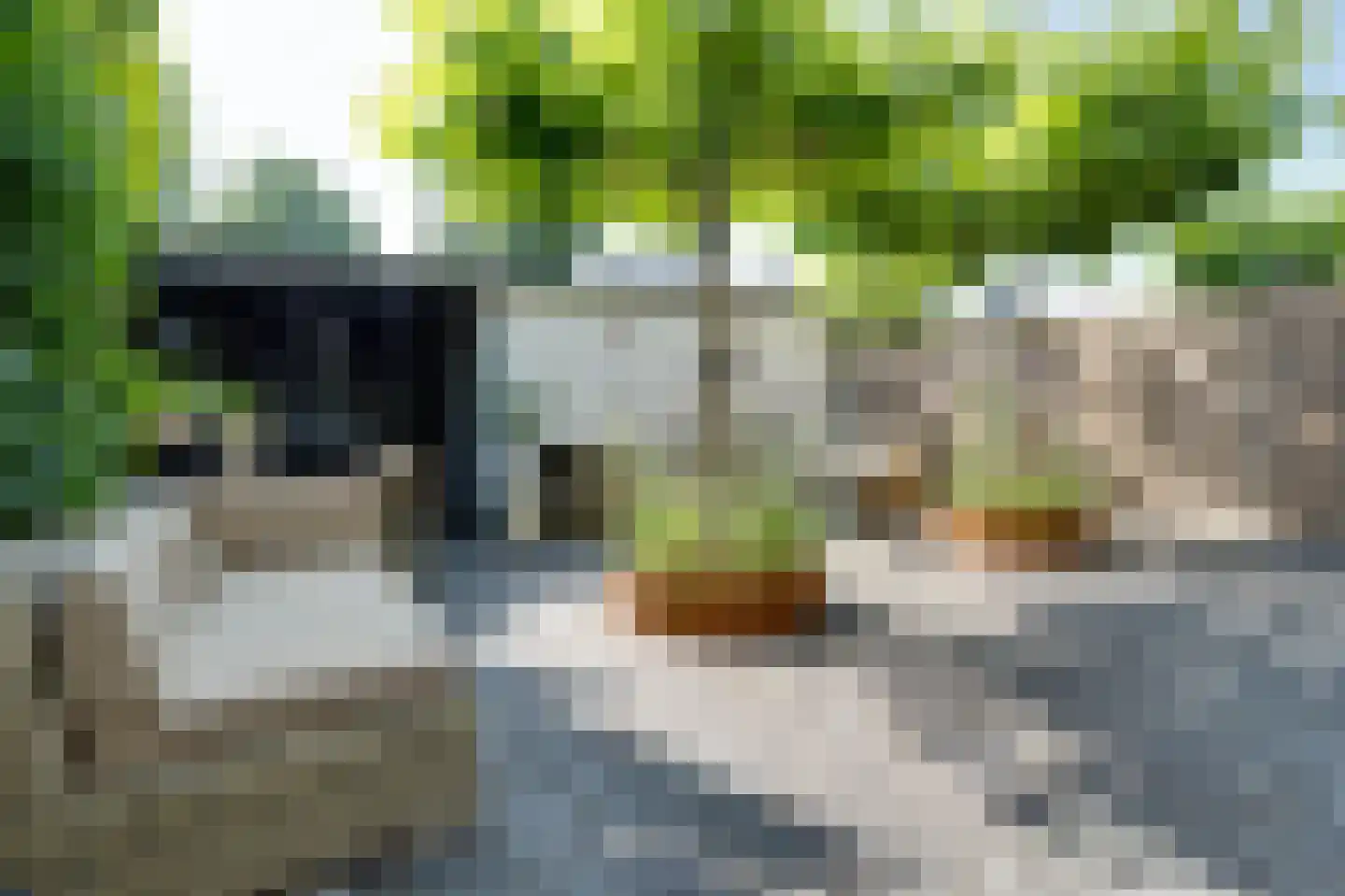 Brielsestraat 81 Stellendam thumbnail 43
