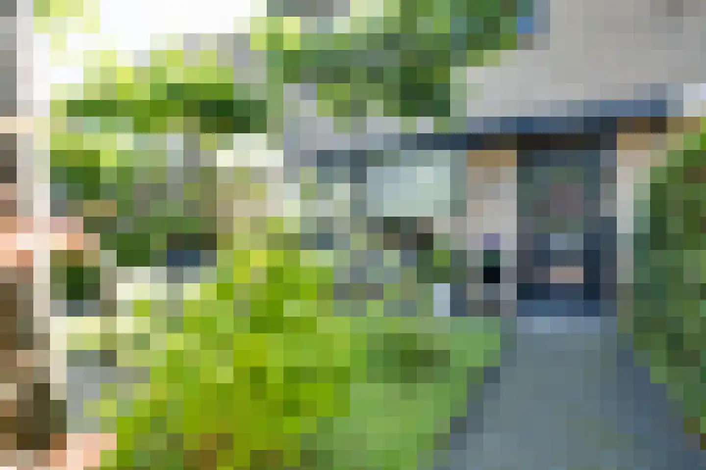 Brielsestraat 81 Stellendam thumbnail 49