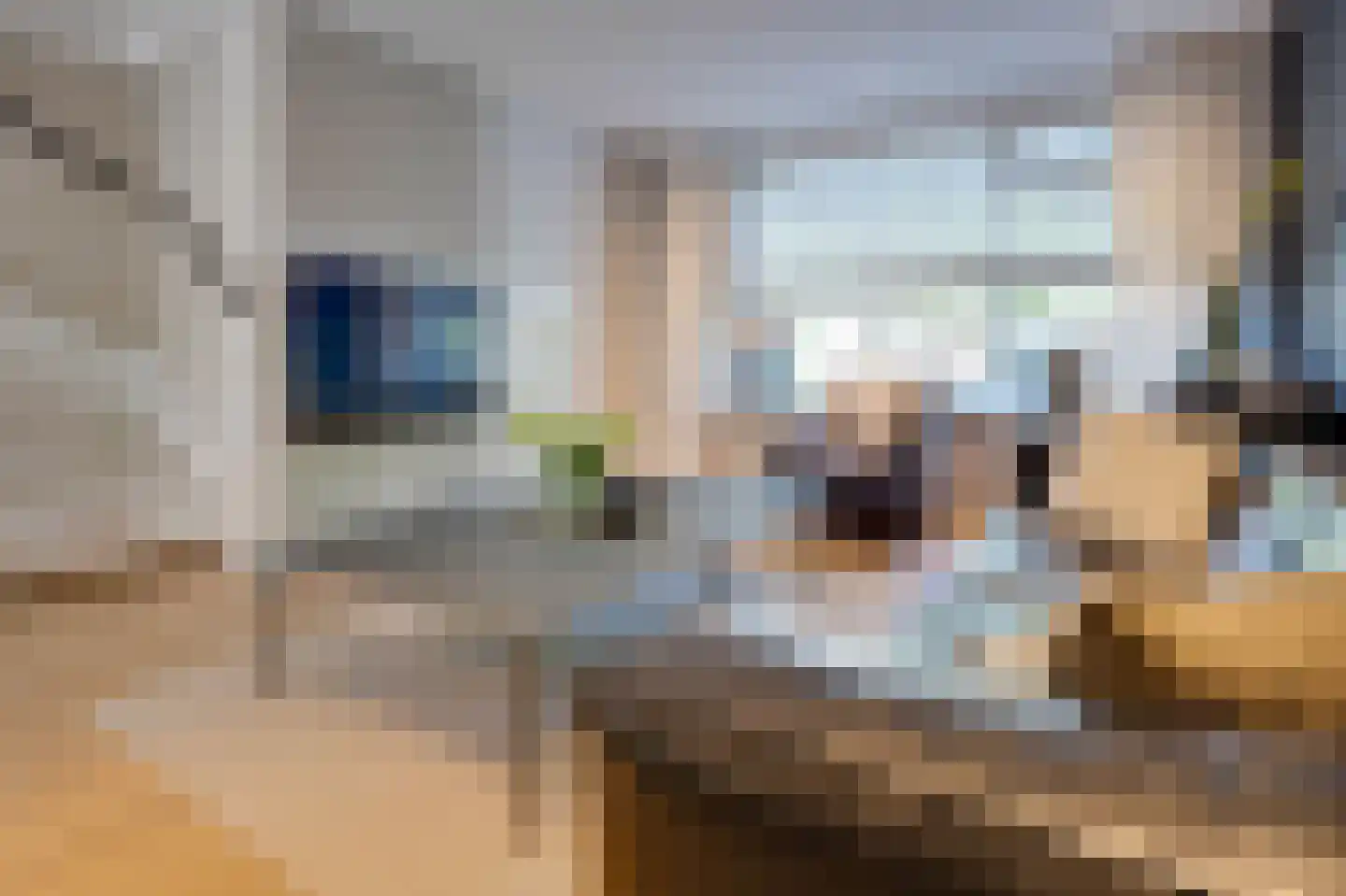 Brielsestraat 81 Stellendam thumbnail 5