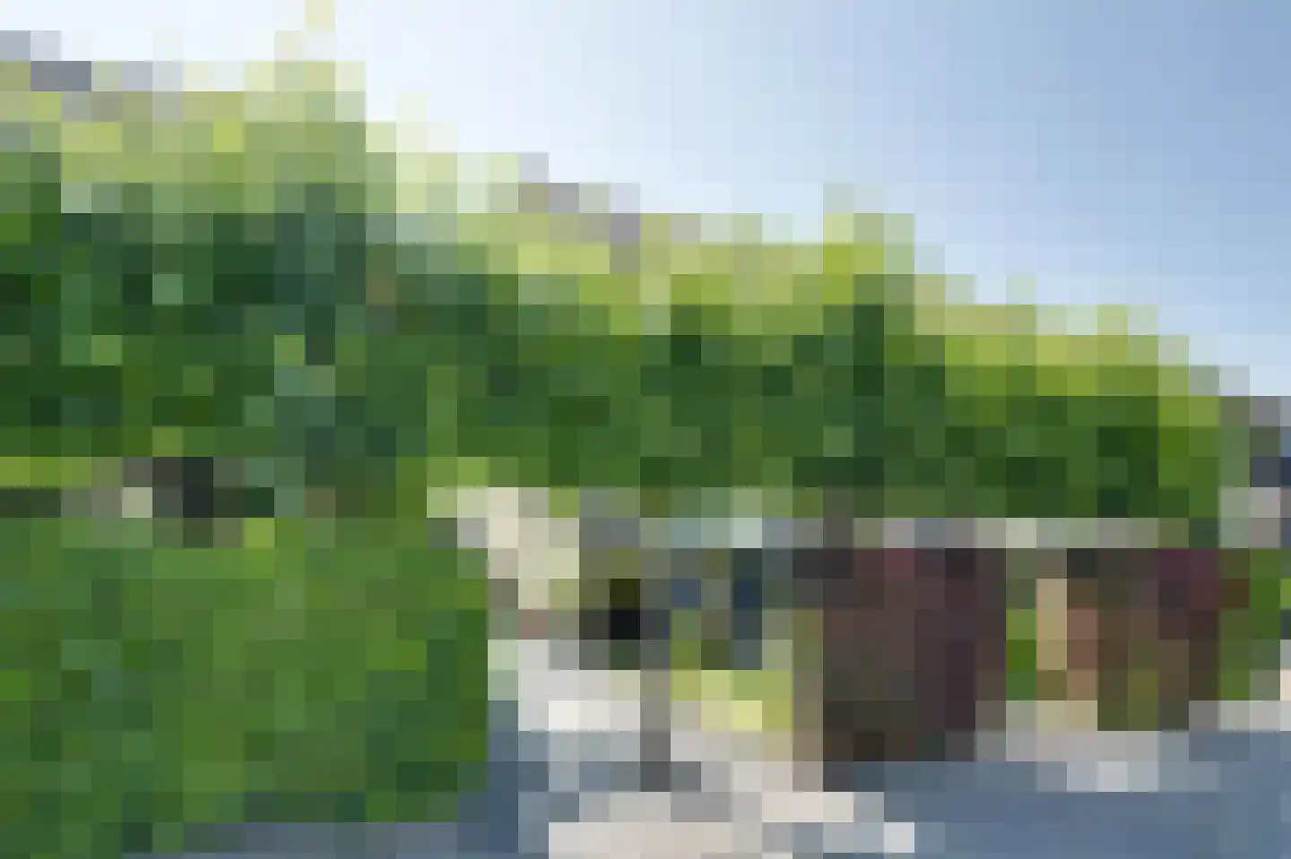 Brielsestraat 81 Stellendam thumbnail 53