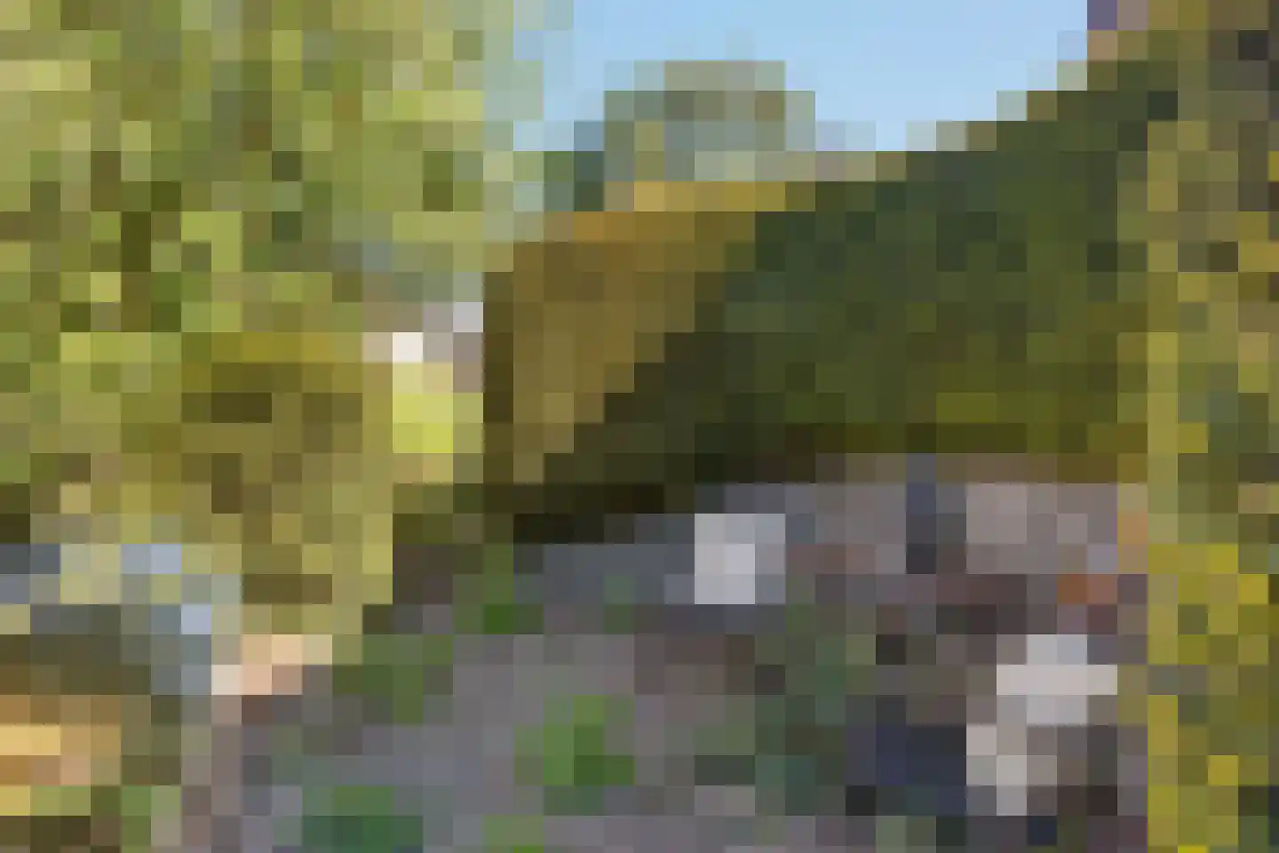 Brielseveste 23 Nieuwegein thumbnail 24