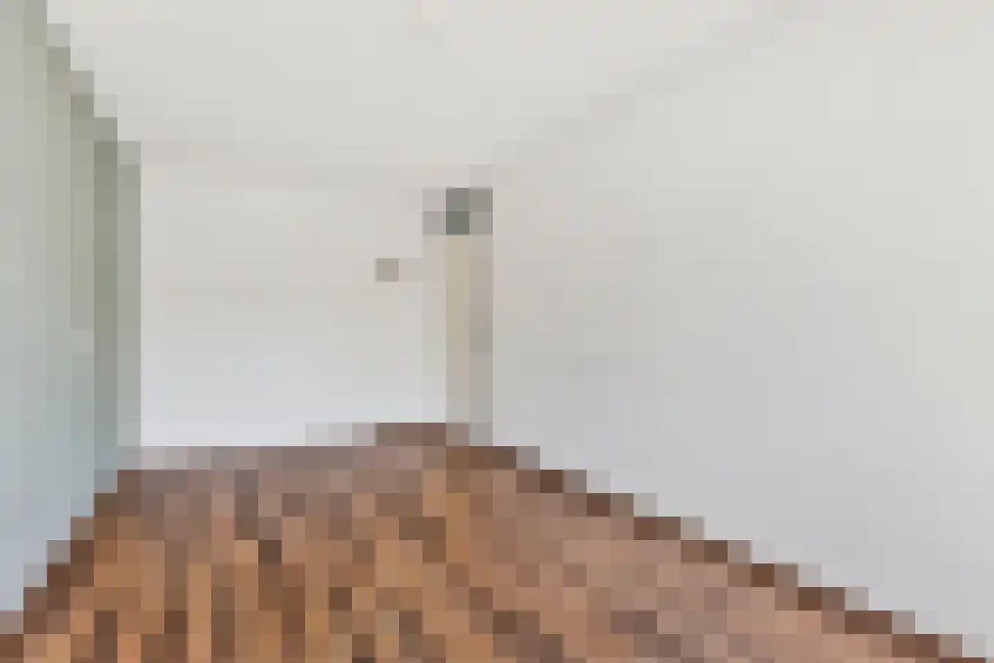 Brielseveste 23 Nieuwegein thumbnail 35