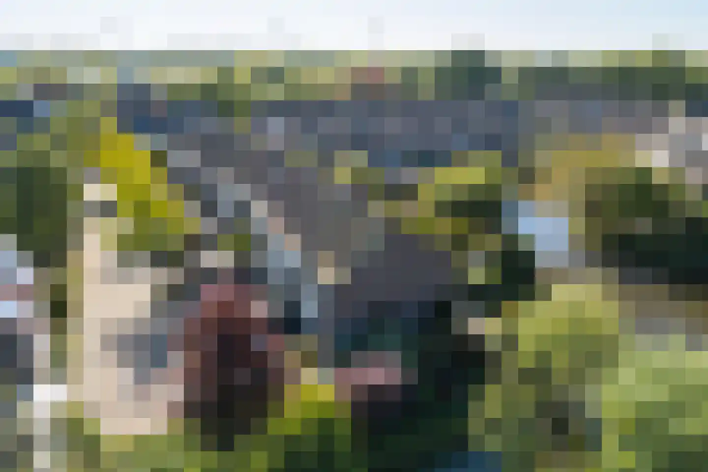 Brielseveste 23 Nieuwegein thumbnail 50