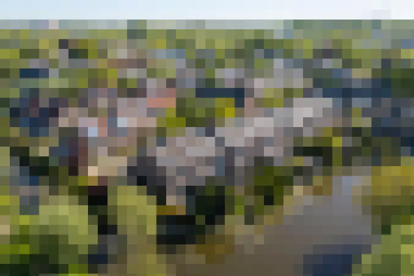 Brielseveste 23 Nieuwegein thumbnail 51