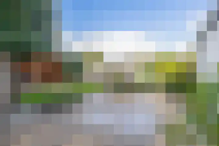 Brielseweg 15 Oostvoorne thumbnail 44