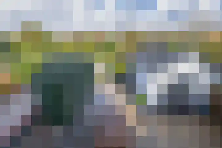 Brielseweg 15 Oostvoorne thumbnail 50