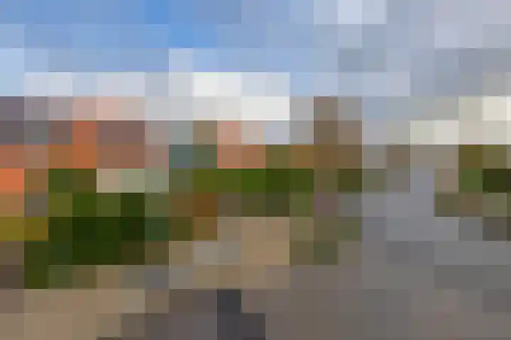 Brielseweg 15 Oostvoorne thumbnail 8