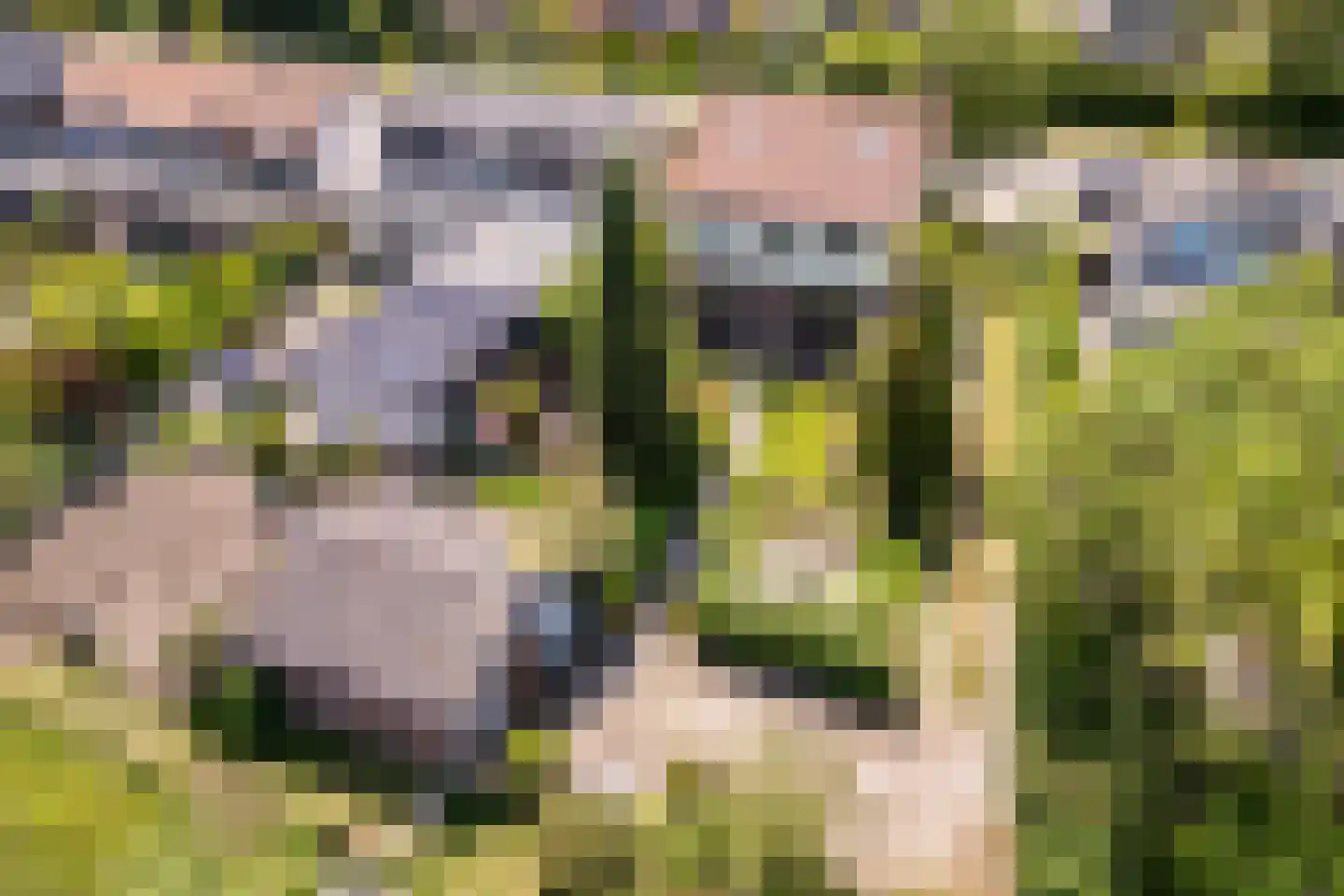 Brielseweg 23 Oostvoorne thumbnail 4