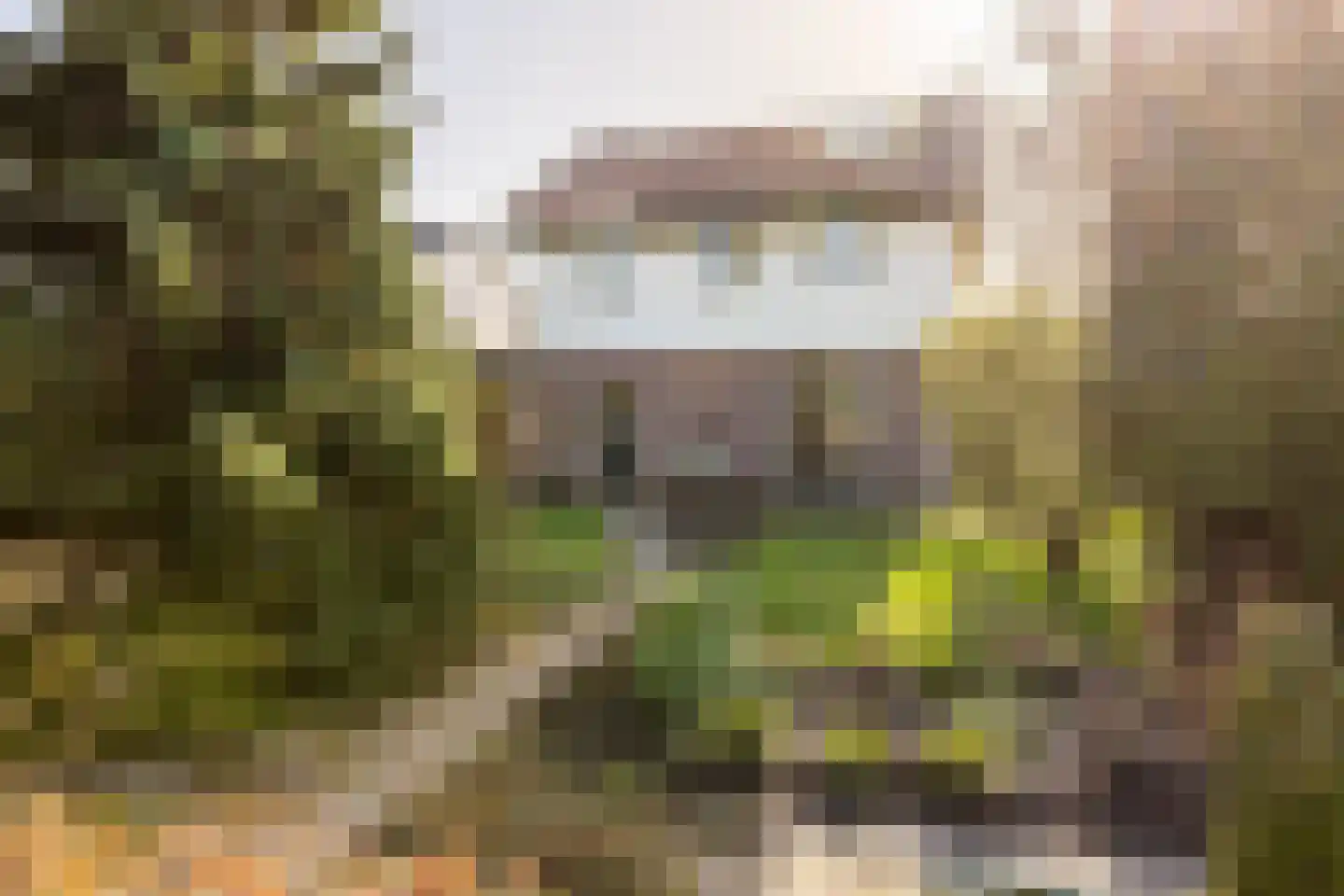 Brielseweg 23 Oostvoorne thumbnail 4