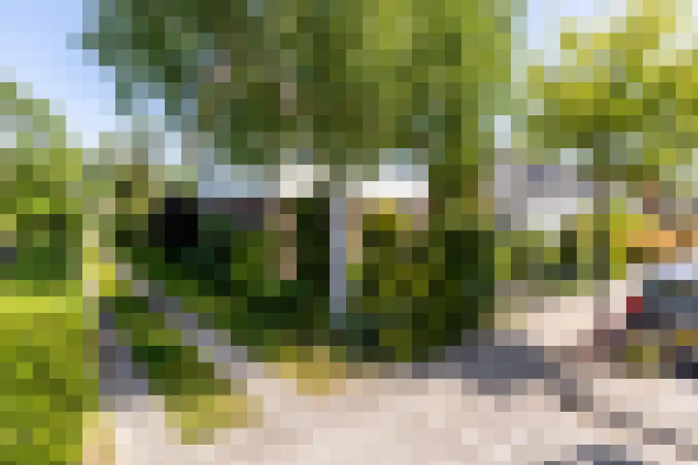 Brielseweg 23 Oostvoorne thumbnail 47