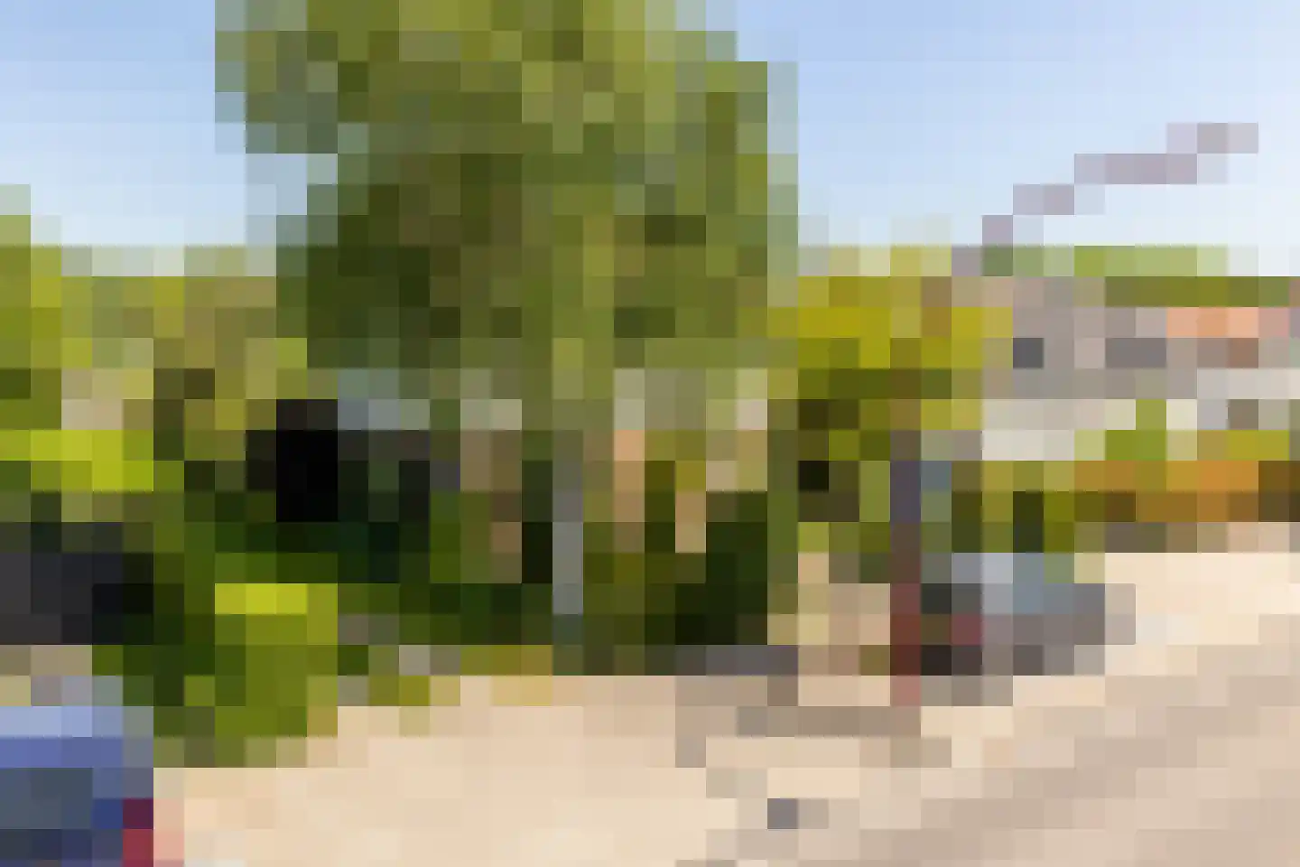 Brielseweg 23 Oostvoorne thumbnail 48