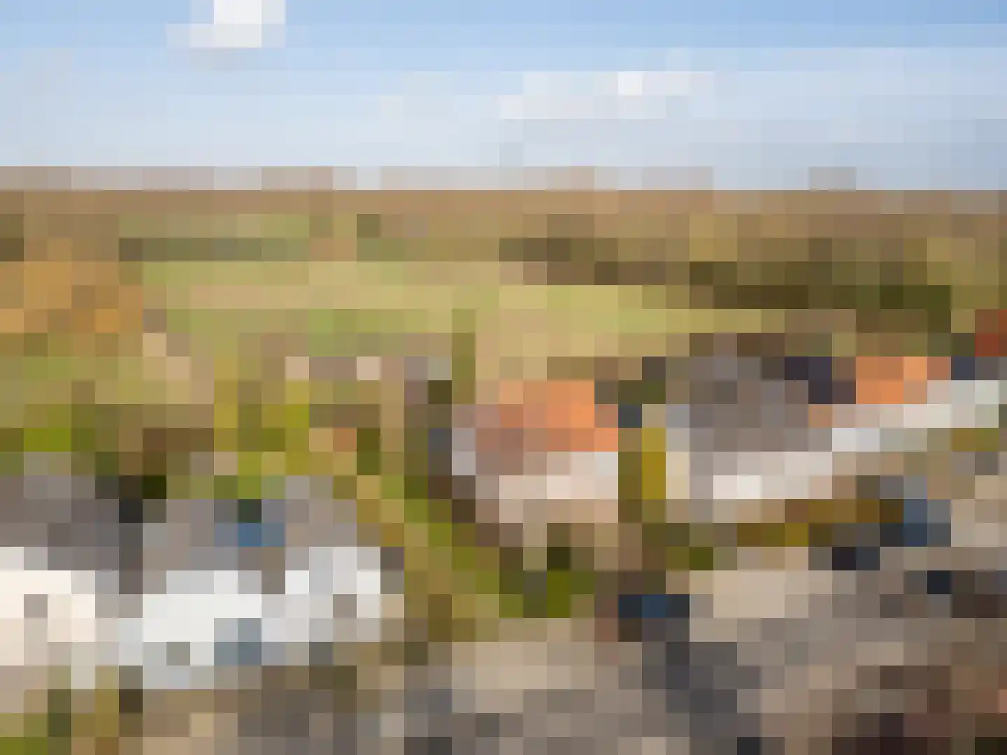 Brielseweg 23 Oostvoorne thumbnail 5
