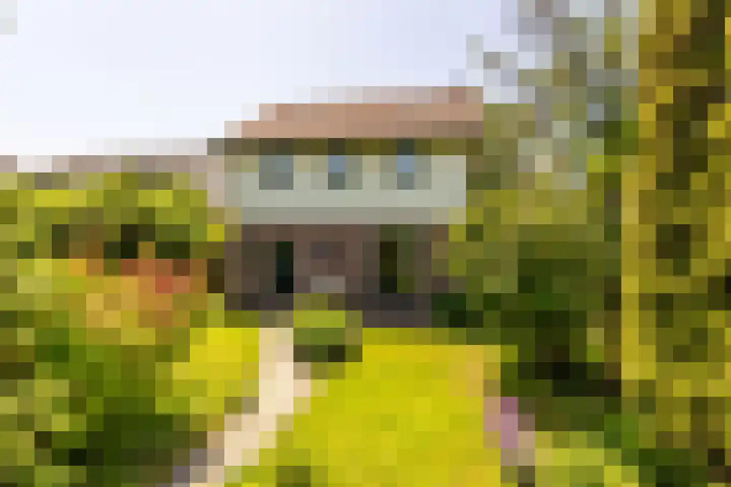 Brielseweg 23 Oostvoorne thumbnail 5