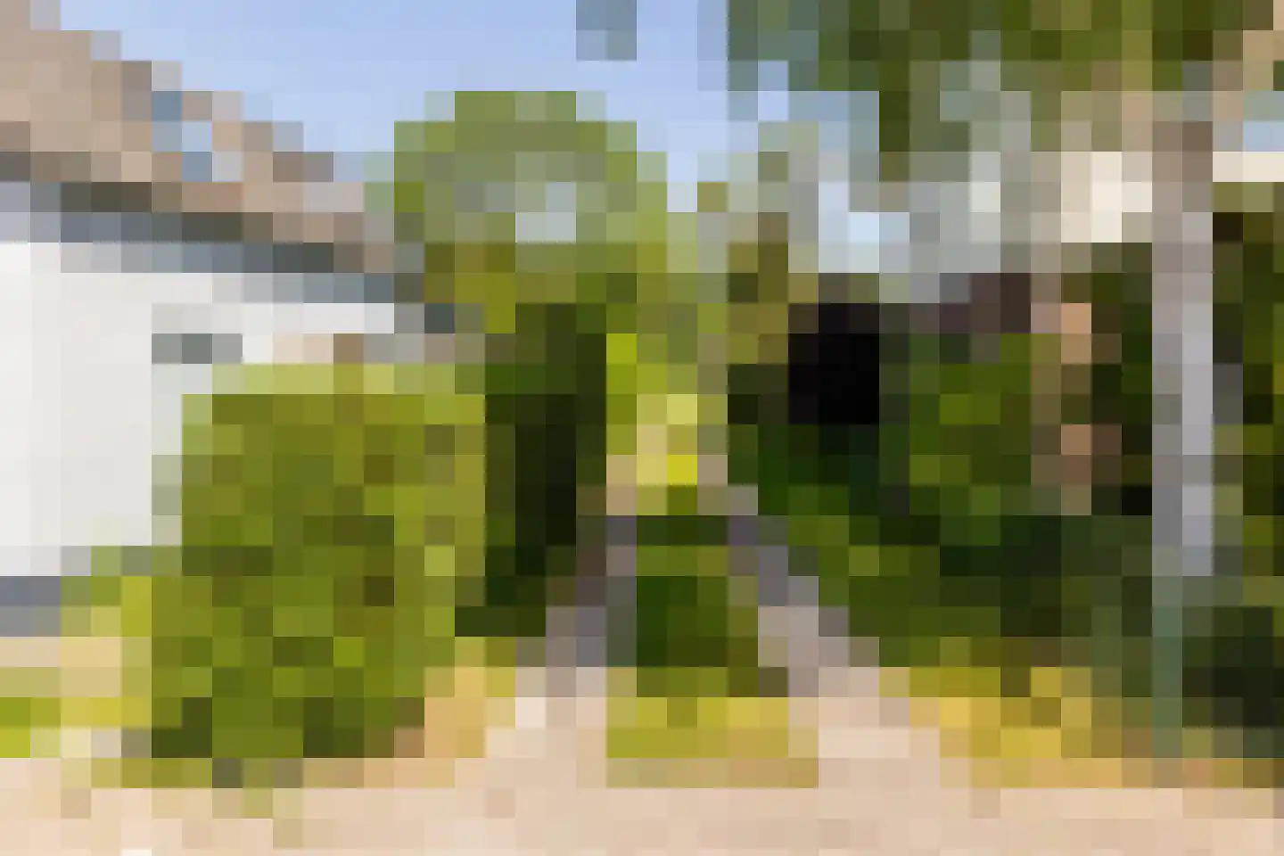 Brielseweg 23 Oostvoorne thumbnail 50