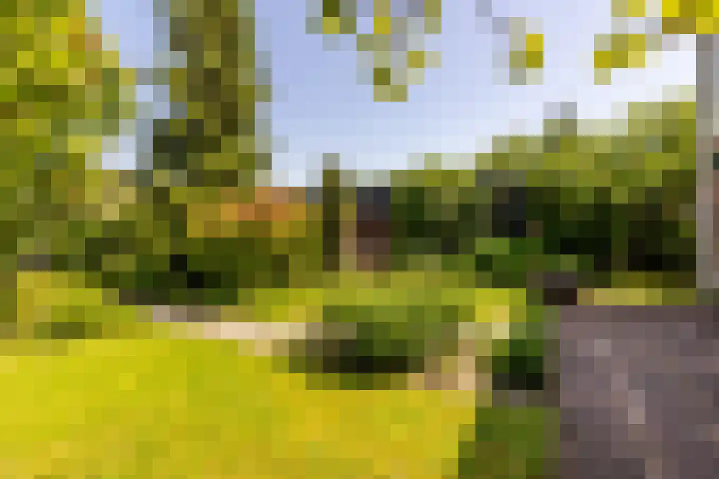 Brielseweg 23 Oostvoorne thumbnail 51