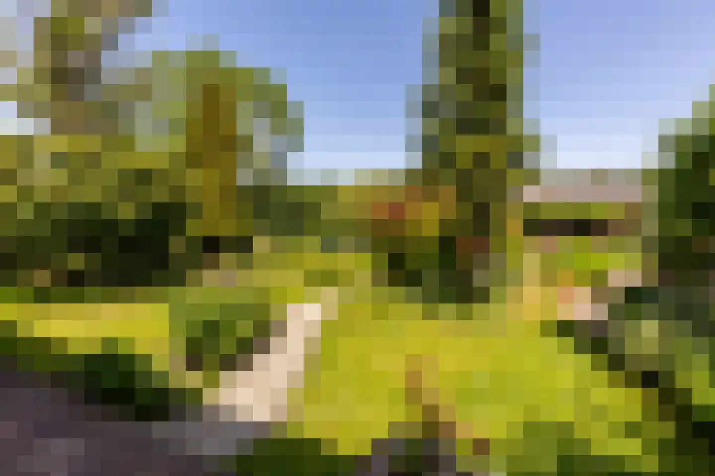 Brielseweg 23 Oostvoorne thumbnail 52