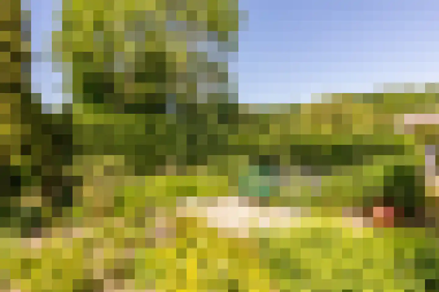 Brielseweg 23 Oostvoorne thumbnail 53
