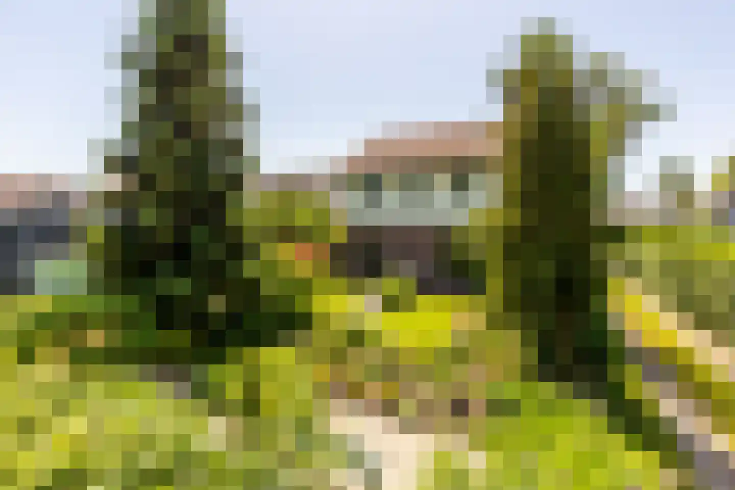 Brielseweg 23 Oostvoorne thumbnail 54
